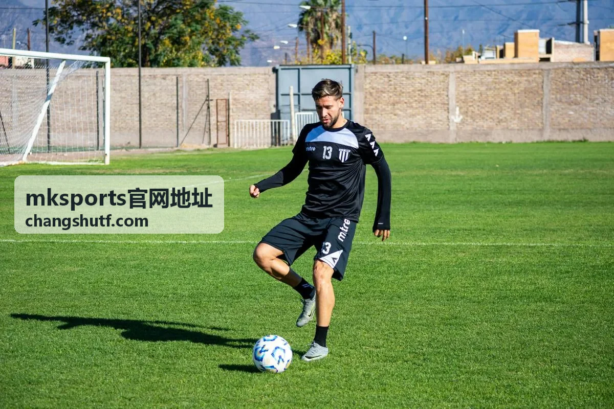 mksports官网地址官方入口查询核对条目示意图