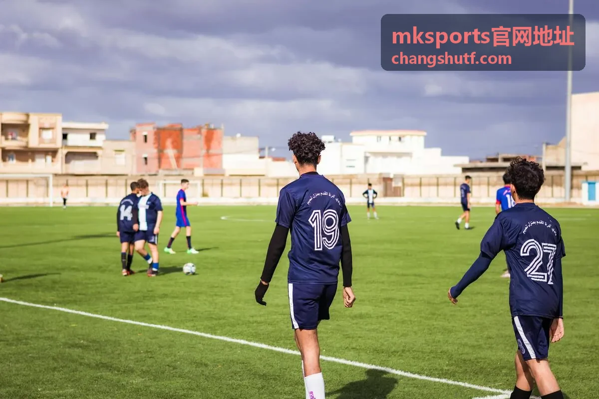 mksports官网地址访问方式说明与打开步骤配图